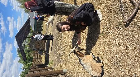 Stanování Mladých hasičů