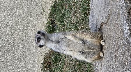 Stanování Mladých hasičů