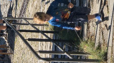 20. ročník Faraonského běhu